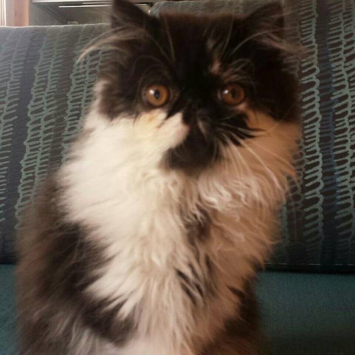 060d0cb0 8352 4ee1 bf4c 613af442a147