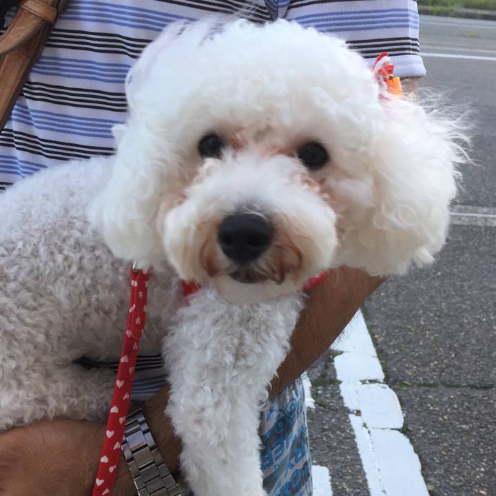 060d2096 b19a 4f05 9535 b77b506e58ce