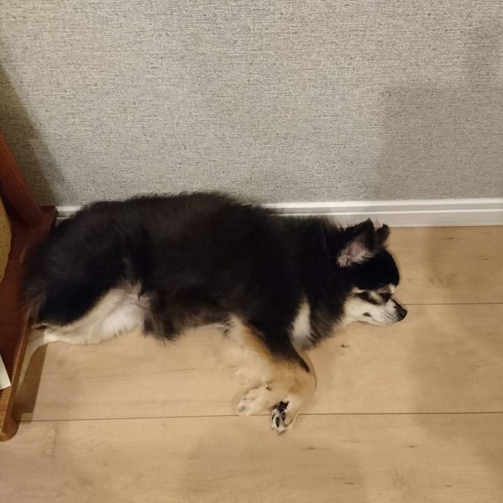 060d2b00 ed22 4265 b73c 9ea6d4f5a7c7