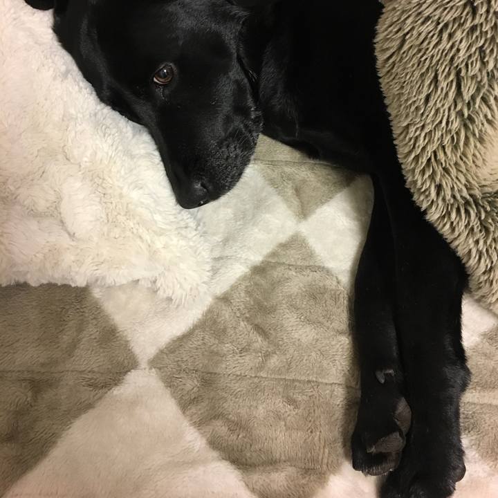 060ddc54 d8f8 4d9c 8a6c 7d867b62cbf8