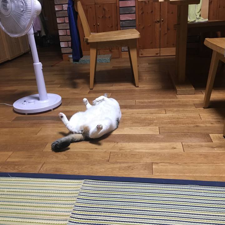 060df61a f47f 42fe b50f e4586e9adec3