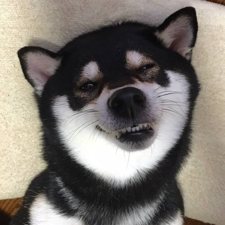 060e2e21 b7db 48ce 8c89 e764fc782d8c