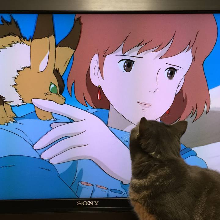 060e3876 d622 47bb 8329 b69faec25c25