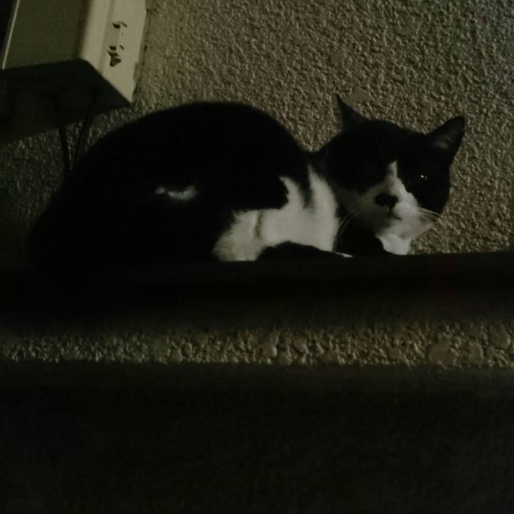 060e3e25 0227 45ca ae66 fc0140569227