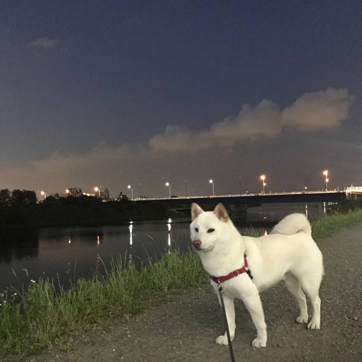 060e9d93 03c3 43be 8bd1 c9496358c499