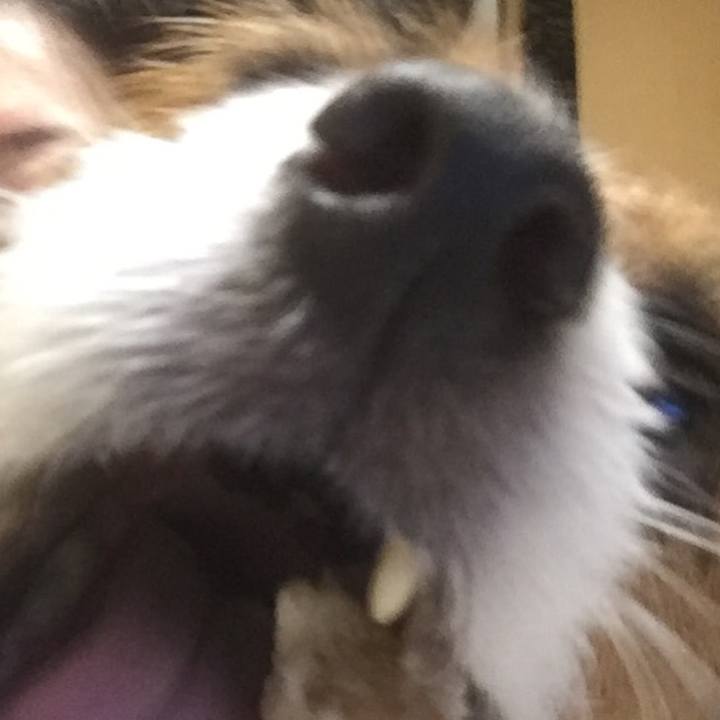 060f0a1e 7d29 41ac 8862 7badd039c428