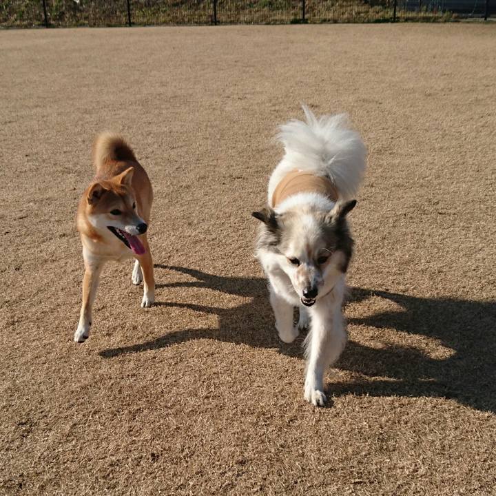 060f16a3 87c3 4c3a bf1a 4820c5e910c0