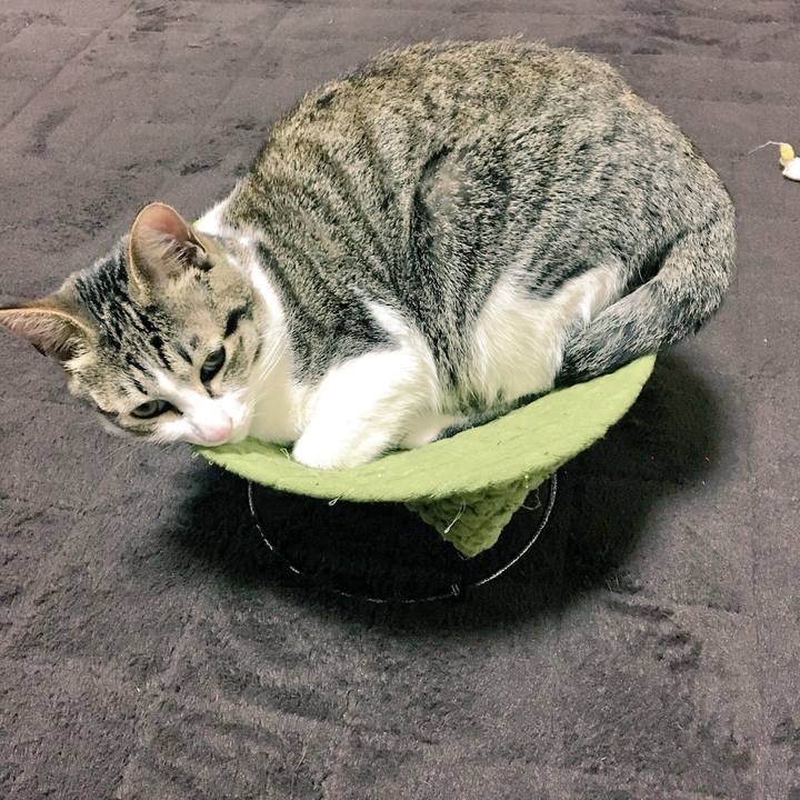 060f4d19 b79e 4827 8872 10ca3550ae75