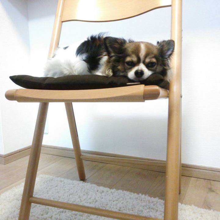 060fc34f 6aa2 4ec5 831f 26362ab9b151