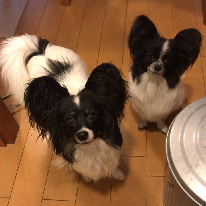 061019e8 4193 4503 8250 36a8440a3068