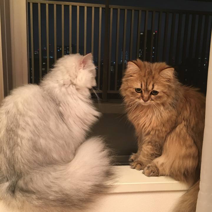 06105e9f f931 4219 a786 bf332524385d