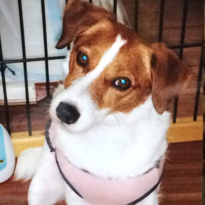 061069eb 1c07 4768 90e4 ba597e9061f7