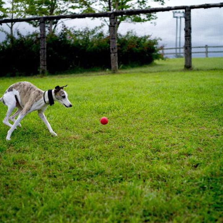 06113e77 dcd1 493f b7cd 363edd9e816e