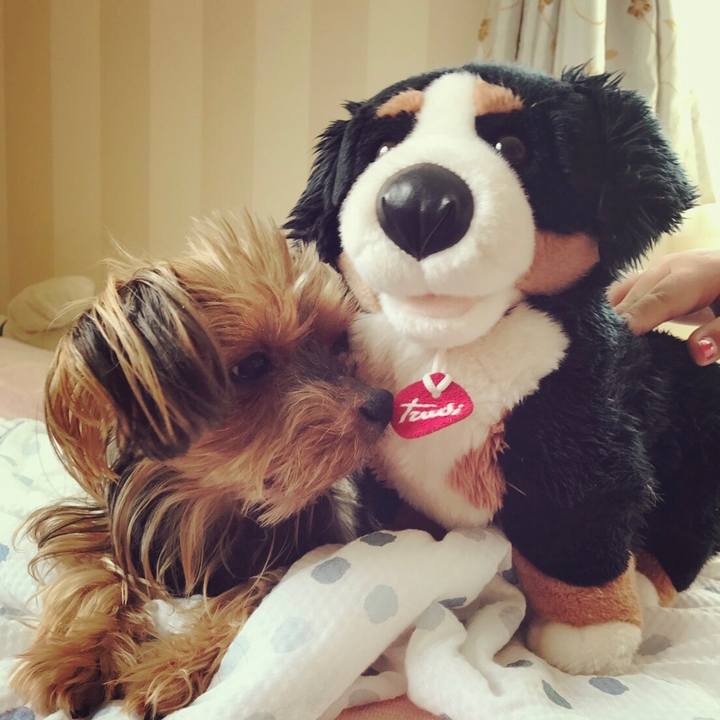 06115ac4 a83d 477d af2a 7cc6ad8d2556