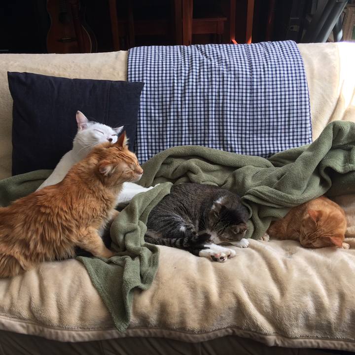 0611b799 a4b8 4048 8091 72f157dc546a