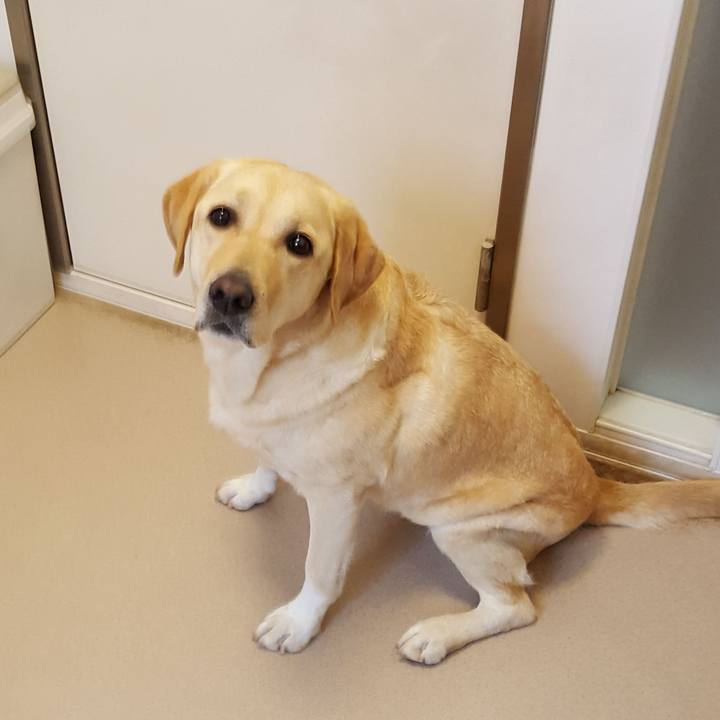 06122aa5 6334 4cfc 80a7 4643acc09502