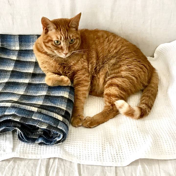 061337ab 31b1 4eb5 8832 a445a04ed055