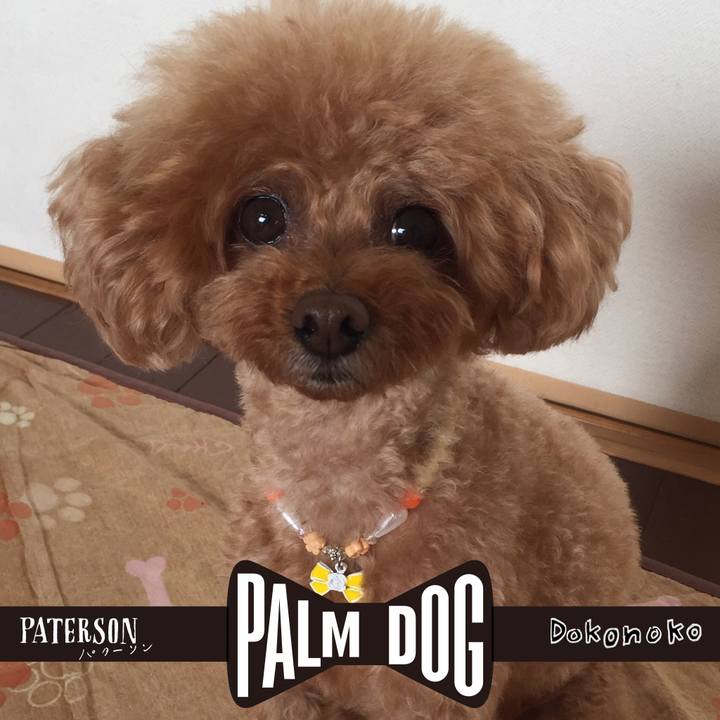 061340ac 5eef 4b0a bd52 f6a47d8491bc