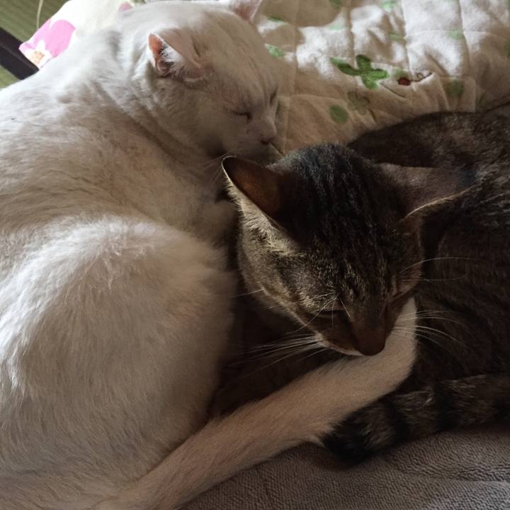 061367fe 1c78 4e0c a13a efd15b7232ac