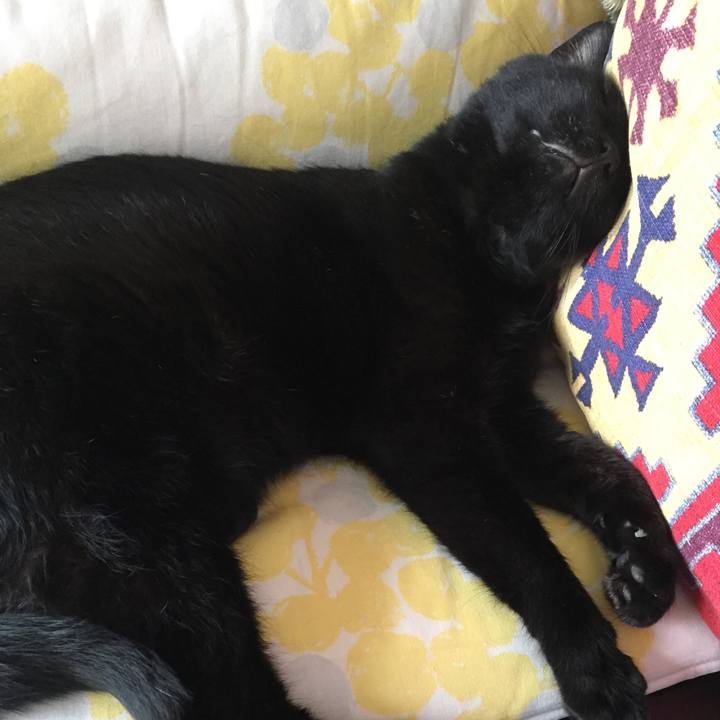 061381ec 478d 4545 8208 9ba94b6326eb