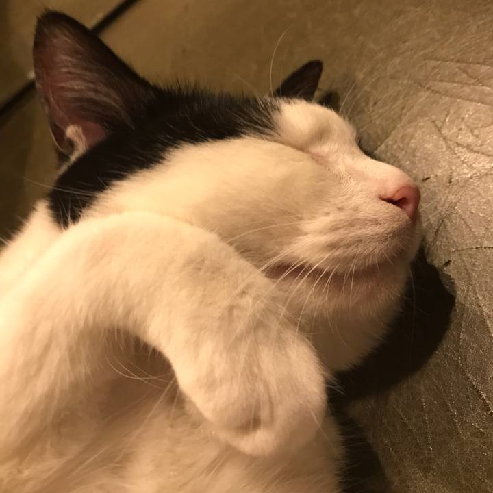 0614612d 1b26 4dd1 bf9b efde01ed4c23