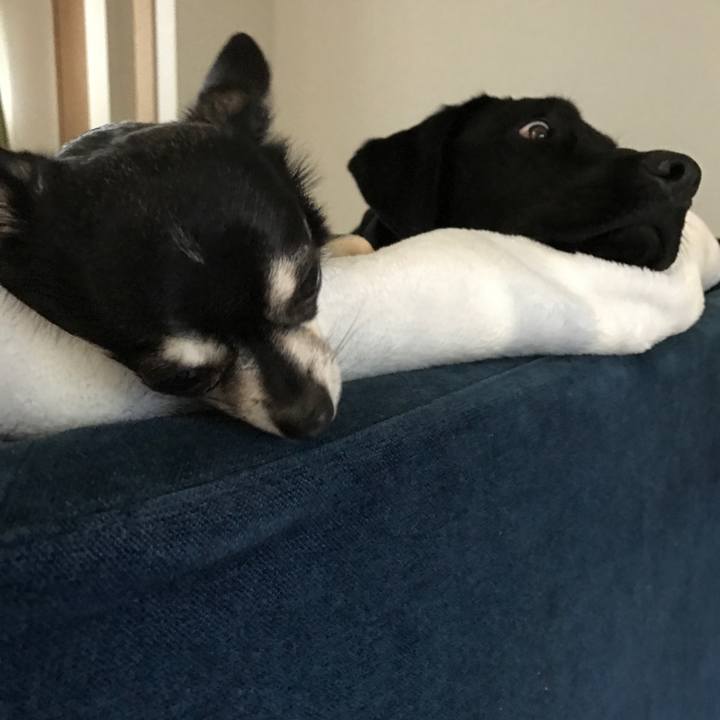 06147efb 9a1a 4216 bf5e 26c9a0cb96c7