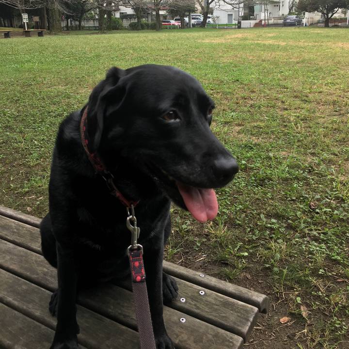 0614ce92 e0d2 4544 b3ed 19447a752c02