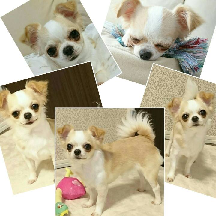 0614e076 a11d 4b04 9df6 ebf602cb7e88