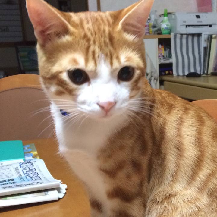 06152167 c943 432a 9b64 ee555ac99b8d