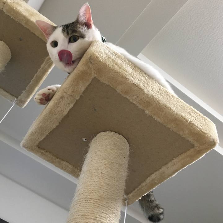 06156238 e548 40b3 86b4 2dfd9cb4f8f3