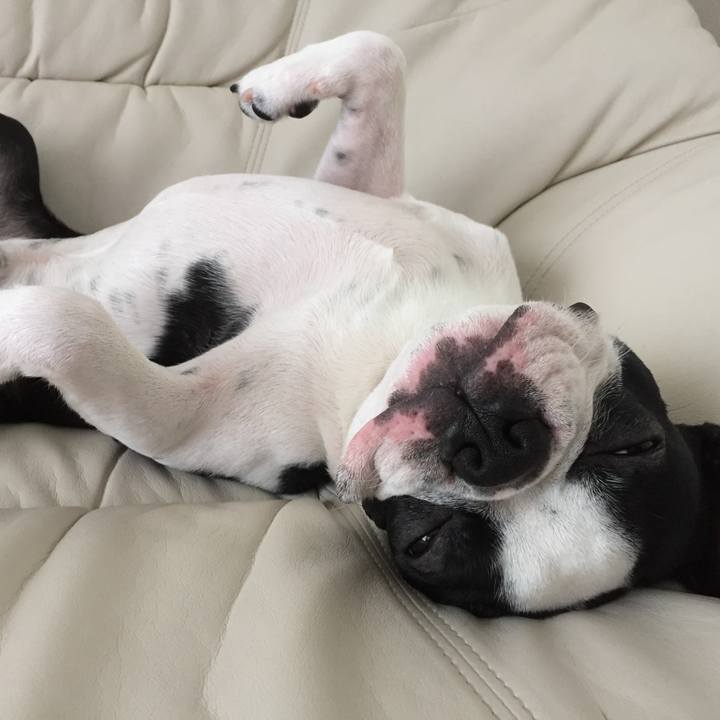 0616201e ed3c 4459 a02b a7845fcdb3af