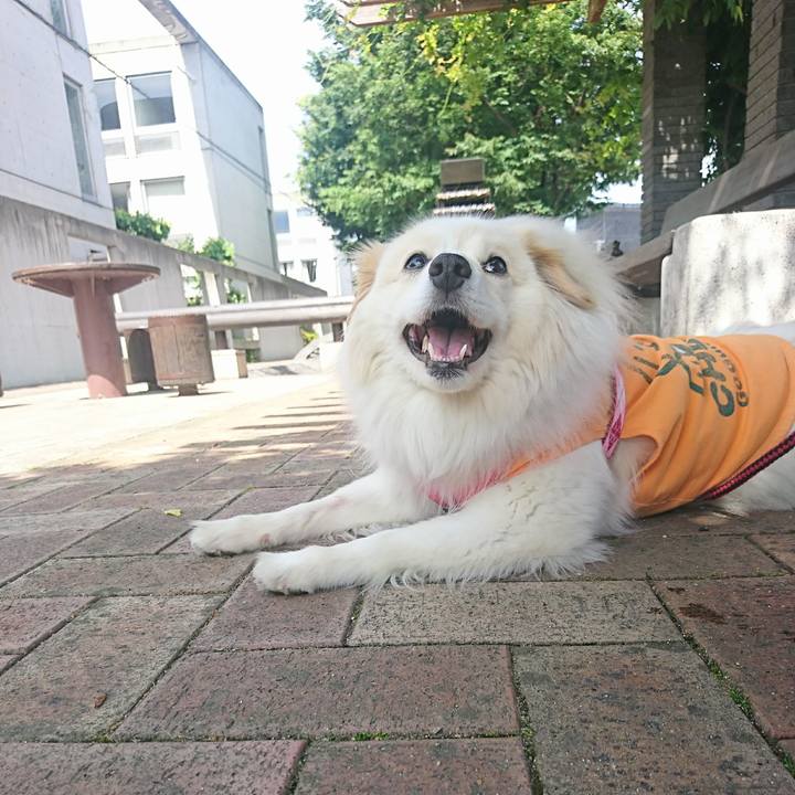 0616ee72 1844 43ba b519 01ba1992c89d