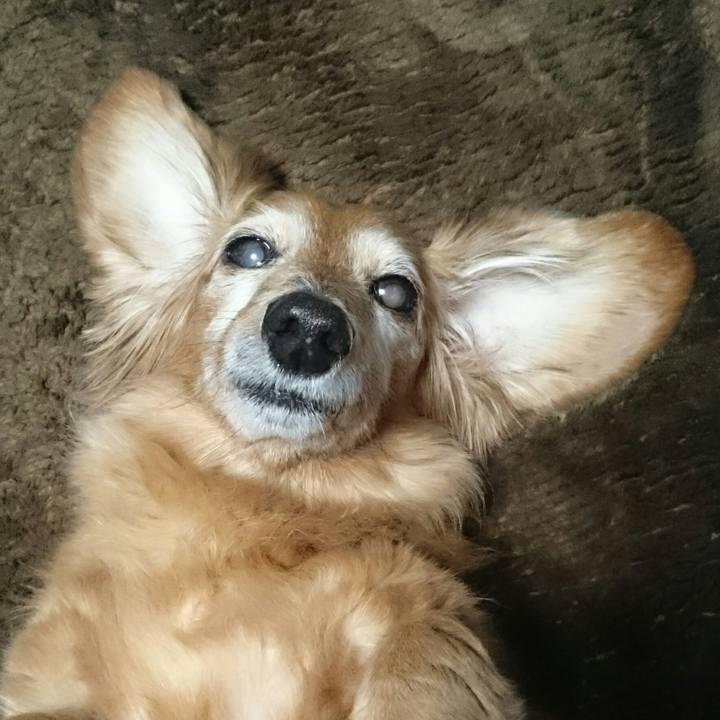 061710c0 025b 4491 b116 88cfa6189e99