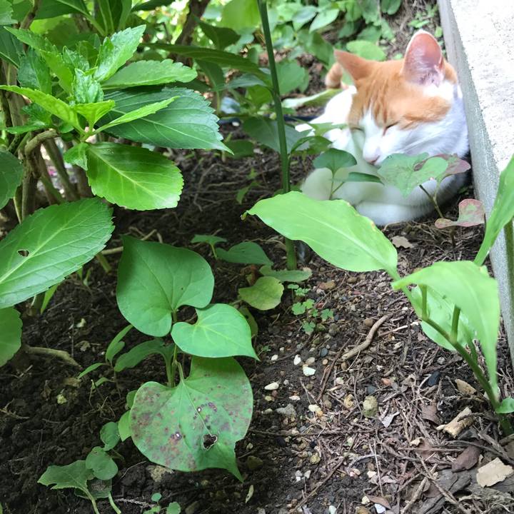 0617dad7 b0f9 41d2 a235 674bbe90f088