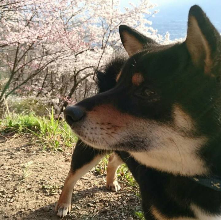 06183ddf 02b0 4f8a 8d65 08d97125c096