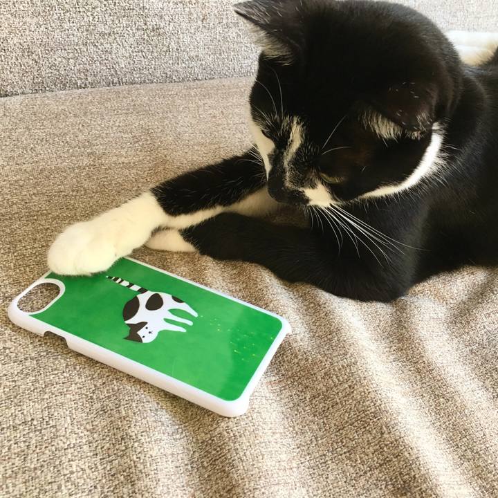 0618438b 6819 49ec 9259 03412c094aaa