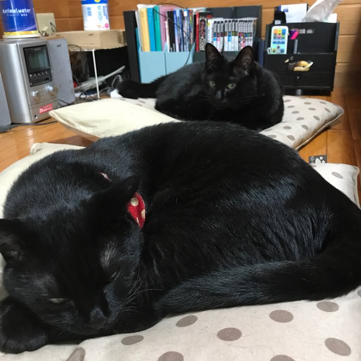 06184b22 ce65 45ca 8ee8 515abc65b2d2