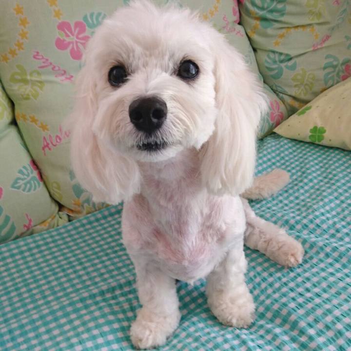 06190fd7 724b 4bbd 80ac d4977976c852