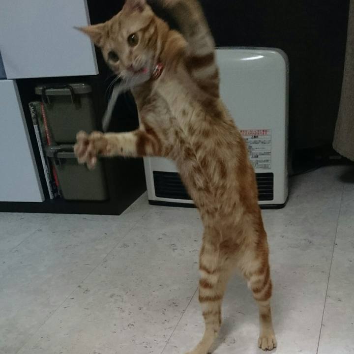 06196ef0 b27c 4d31 bb87 037bc934c513