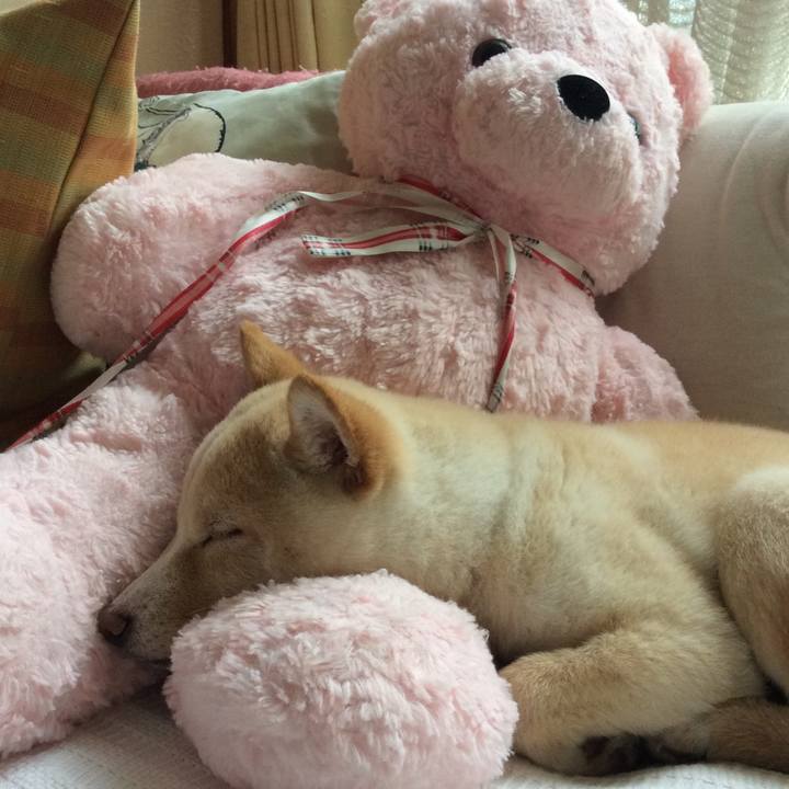 0619d929 d729 45f8 804b 0689ba17aec5