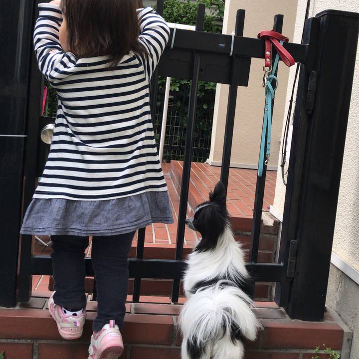 0619e35f f3d3 4a72 857b da30d71d4810