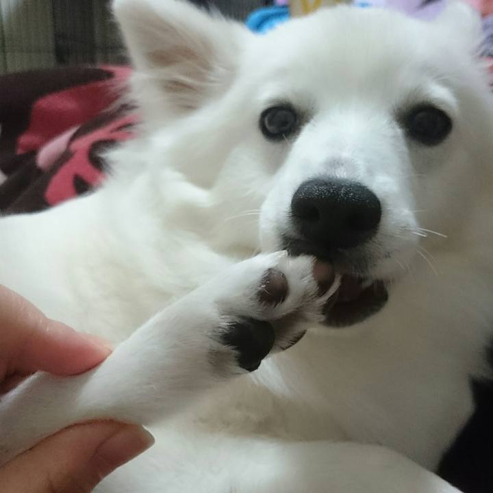 061b1ef5 f1b3 40f3 9c19 67b0ea9bb6bc