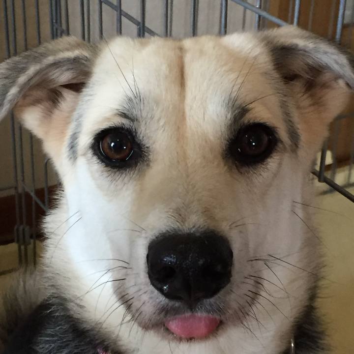 061b6e19 b079 4b90 905e a4d74ee5ec5f