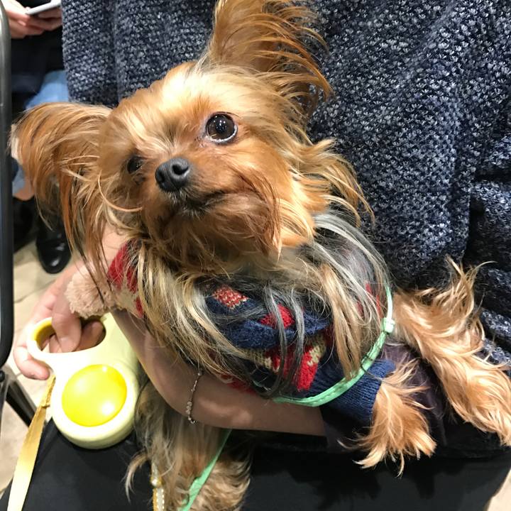 061b6f9c 6a8e 4b9f a9d7 7c186a973f44