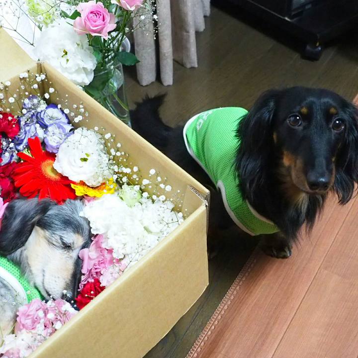 061bf818 c647 4f4a 8a8d 74ec326b4ea4