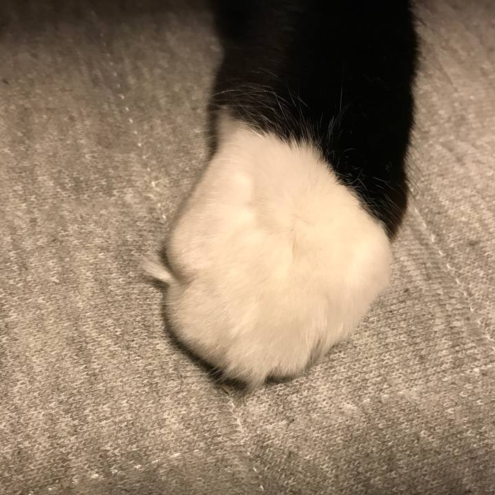 061c938f d3ba 4cc2 bcf5 1f82568c4f17