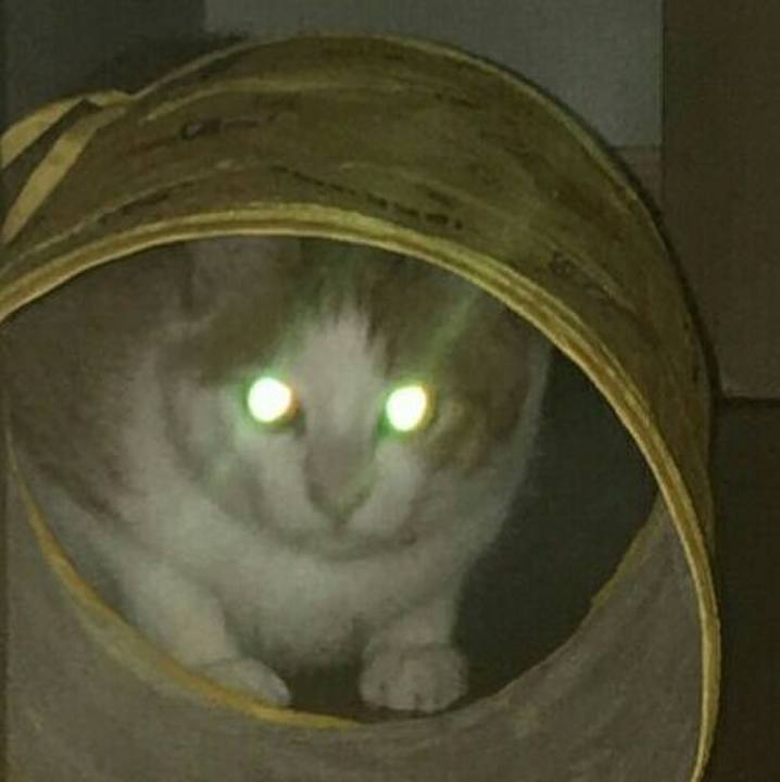 061cb12b 1add 4fa9 907c 54171f1d8bcc