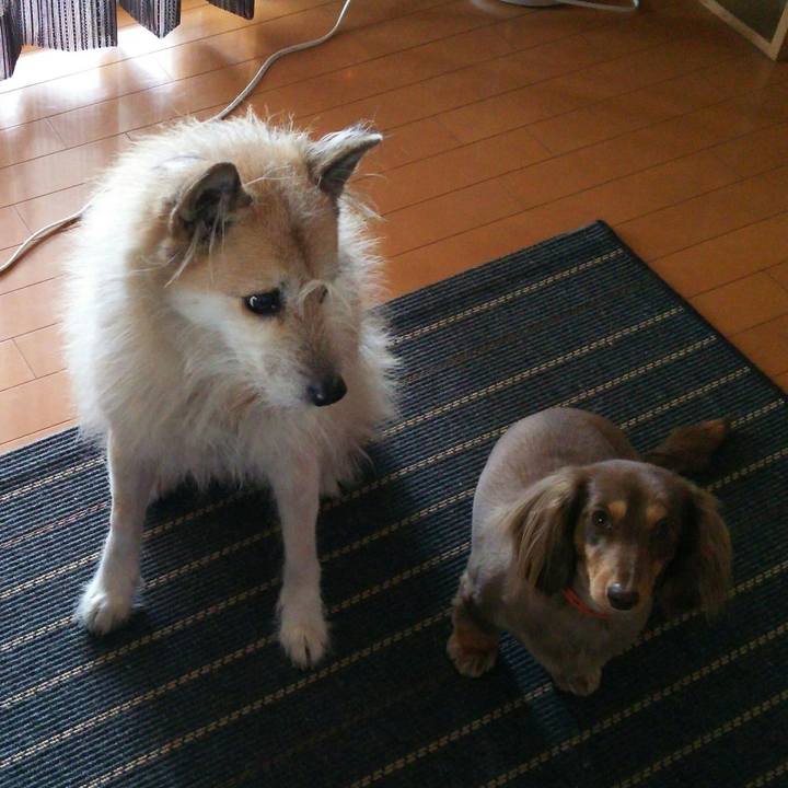 061d26c5 2cac 48c2 aefb d7366b1ab8b3