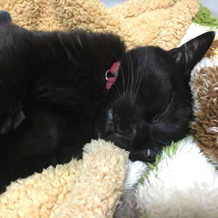 061dc87c e250 4477 b382 e64a56ac5c0c