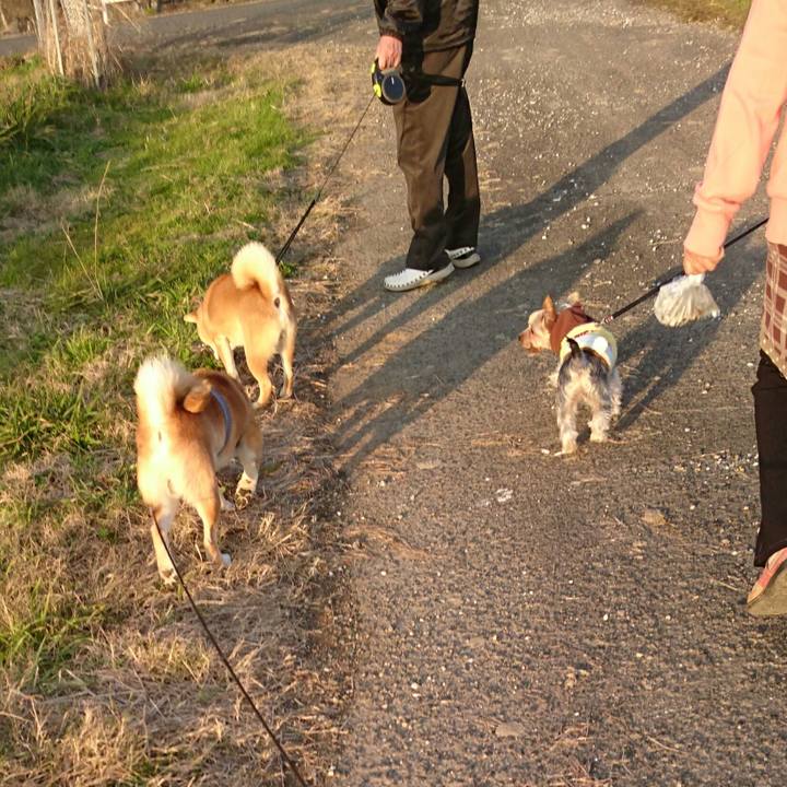 061ded85 4b4f 4b12 a918 c66656c06720